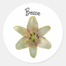 Search for speckle stickers Floral