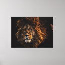 Search for lions canvas prints Nature