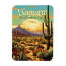 Search for saguaro magnets Saguaro national park
