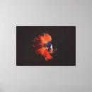 Search for betta art Black