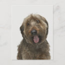 Search for loyalty vertical postcards Nature