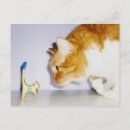 Search for just for laughs postcard postcards Animal