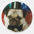 Search for tophat Birthday