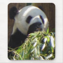 Search for panda mouse mats Green