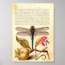 Search for book page art posters Botanical