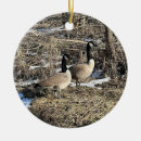 Search for waterfowl christmas tree decorations Birds