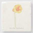 Search for poppy coasters Watercolor