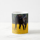 Search for quarter horses mugs Equine