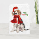 Search for beagle christmas cards From the dog