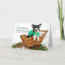 Search for boston terrier christmas cards Pets