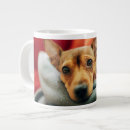 Search for cute doberman mugs Animal