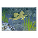 Search for tortoise posters Funny