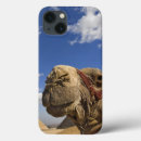 Search for camel the electronics Egypt