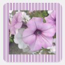 Search for purple petunia stickers Pretty