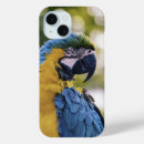 Search for blue parrot iphone cases Parrots