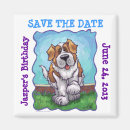 Search for bernard magnets Cute