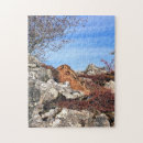 Search for hare puzzles Wild animal