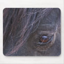 Search for horse eye electronics Nature