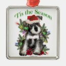 Search for mini christmas tree decorations Miniature schnauzer