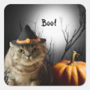 Search for witch cat stickers Trick or treat