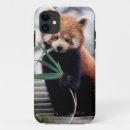 Search for saving iphone cases Panda