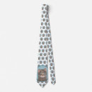 Search for tabby ties Kitten