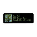 Search for oak tree return address labels Green