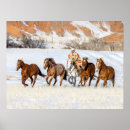 Search for wrangler posters Horse