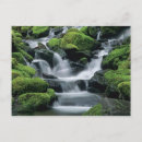 Search for stream postcards Park