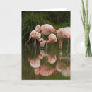 Search for happy retirement card postcards Water