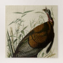 Search for wild bird puzzles Illustration