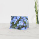 Search for forget me not thank you cards Flowers