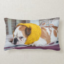 Search for english bulldog cushions Animals