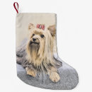 Search for yorkie christmas stockings Cute