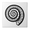 Search for fossil tiles Ammonite