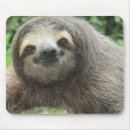 Search for sloth mouse mats Wildlife