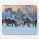 Search for horse ranch mouse mats Running