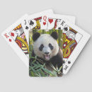 Search for danita delimont playing cards Bear