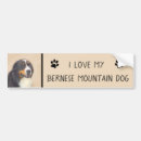 Search for mountain bumper stickers Bernese mountain dog