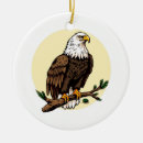 Search for eagles christmas tree decorations Wildlife