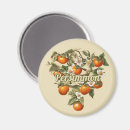 Search for tropical fruit magnets Orange