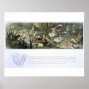 Search for doyle posters Richard