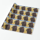 Search for native wrapping paper Bison