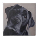 Search for black labrador tiles Retriever