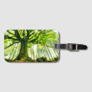 Search for beech accessories Nature