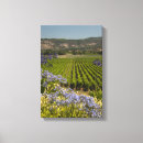 Search for wine vineyard canvas prints Winery