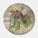 Search for country decor magnets Doodlefly