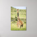 Search for conservation canvas prints Wildlife
