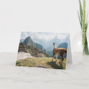 Search for civilisation cards Latin america