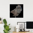 Search for british shorthair cat art Kitty